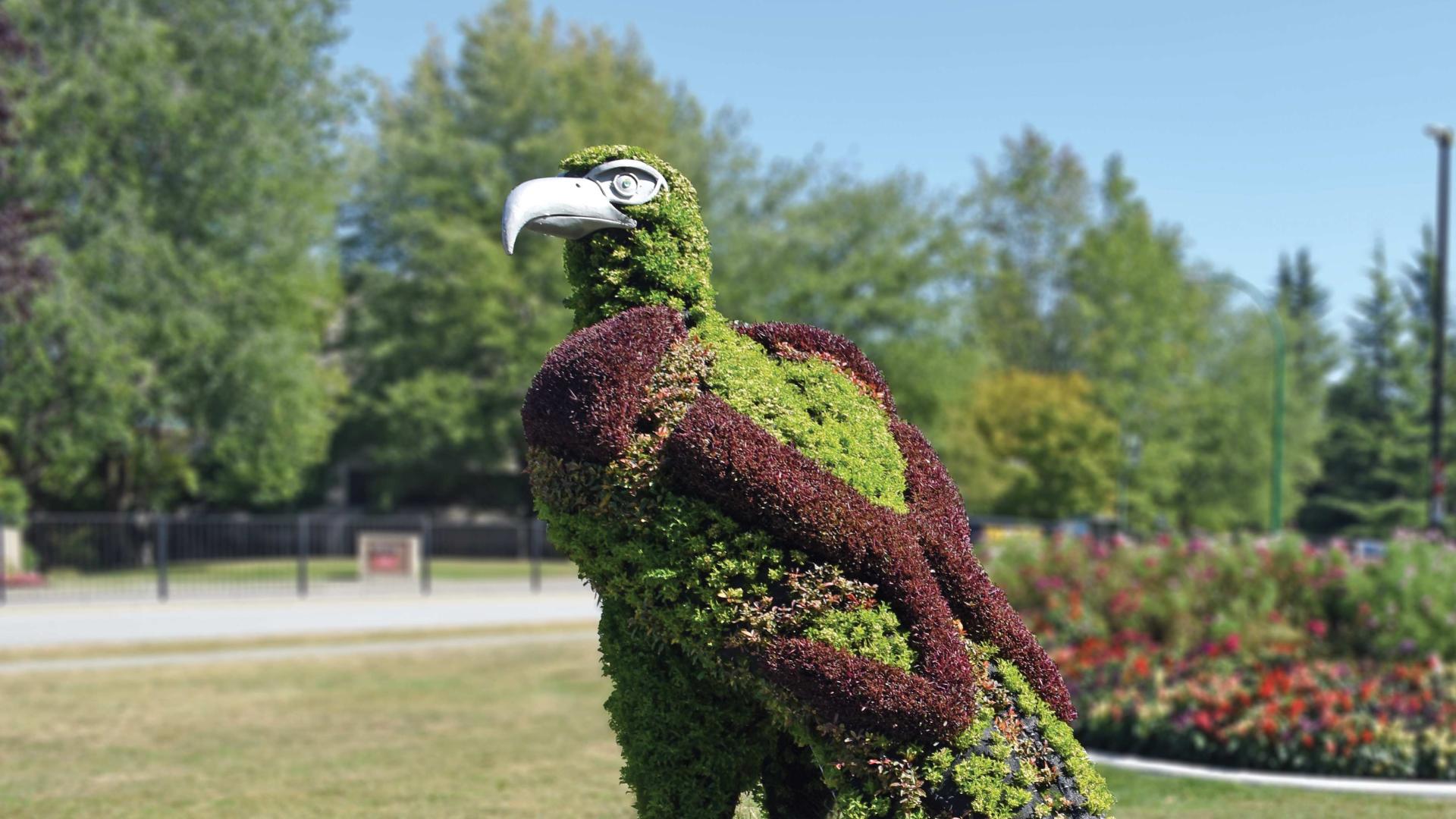 Gardens & Flower Displays City of Burnaby